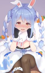 1girl animal_ear_fluff animal_ears bare_shoulders black_bra black_gloves black_leotard black_pantyhose blue_hair blue_ribbon blush bow bra braid breasts carrot carrot_hair_ornament cleavage commentary_request detached_sleeves don-chan_(usada_pekora) dress feet_out_of_frame food-themed_hair_ornament fur_trim gloves grey_background hair_bow hair_ornament hands_on_own_face highres hololive knee_up leotard long_hair looking_at_viewer multicolored_hair nose_blush open_mouth orange_eyes pantyhose pom_pom_(clothes) puffy_short_sleeves puffy_sleeves rabbit-shaped_pupils rabbit_ears rabbit_girl ribbon short_sleeves sidelocks silver_hair simple_background sitting small_breasts solo symbol-shaped_pupils tearing_up twin_braids twintails two-tone_background two-tone_hair underwear usada_pekora usada_pekora_(1st_costume) virtual_youtuber white_background white_bow white_dress yuutii