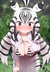 Rule 34 | 1girl, animal ears, animal print, antenna hair, bikini, bikini under clothes, black hair, blurry, blurry background, blush, breasts, brown eyes, cargo shorts, chapman&#039;s zebra (kemono friends), clothes lift, commentary, cowboy shot, day, flashing, hanging breasts, high-waist shorts, highres, kemono friends, leaning forward, lifting own clothes, long sleeves, looking at viewer, masuyama ryou, medium breasts, multicolored hair, nose blush, outstretched arms, parted lips, print shirt, print shorts, shirt, shirt lift, shorts, sleeveless, solo, streaked hair, striped bikini, striped clothes, swimsuit, tail, twintails, two-tone hair, white hair, zebra ears, zebra girl, zebra print, zebra tail