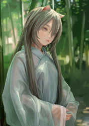 Rule 34 | 1girl, animal ears, bamboo, bamboo forest, blurry, blurry background, cat ears, depth of field, fkey, forest, green background, grey hair, hair between eyes, highres, japanese clothes, kimono, long hair, long sleeves, nature, original, outdoors, parted lips, pink eyes, sleeves past wrists, solo, upper body, white kimono