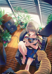 Rule 34 | 1girl, 40hara, barefoot, belt, blanket, blue skirt, blue upholstery, blurry, blush, bob cut, brown hair, cable, chair, closed eyes, couch, crossed arms, depth of field, dog, electric fan, feet on chair, from above, grey hair, hand fan, happy, hugging object, indoors, knee up, legs, light smile, miniskirt, original, parted bangs, phonograph, plant, pleated skirt, poncho, potted plant, record, record jacket, shade, short hair, sitting, skirt, smile, solo, speaker, striped, sunlight, window blinds, window shadow, wooden floor