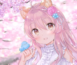 Rule 34 | 1girl, :d, ahoge, animal, animal ear fluff, animal ears, animal on hand, bird, blue flower, blurry, blurry background, blush, branch, brown eyes, center frills, clothing cutout, commentary, depth of field, fang, flower, frills, hair between eyes, hair flower, hair ornament, hair ribbon, hand up, long hair, looking at viewer, open mouth, original, petals, pink flower, pink hair, ribbon, shirt, shoulder cutout, smile, solo, symbol-only commentary, wataame27, white ribbon, white shirt, wolf-chan (wataame27), wolf ears