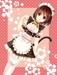 Rule 34 | 1girl, animal ears, apron, bell, brown hair, cat ears, cat girl, cat tail, collar, female focus, garter straps, maid, maid apron, maid headdress, neck bell, nomu (29 nom), original, paw pose, red eyes, short hair, solo, tail, thighhighs, white thighhighs