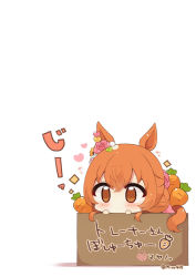 Rule 34 | 1girl, blush, box, brown eyes, brown hair, cardboard box, carrot, chibi, closed mouth, double bun, flower, hair between eyes, hair bun, hair flower, hair ornament, hands up, heart, highres, in box, in container, mayano top gun (umamusume), muuran, pink flower, pink rose, rose, solo, sparkle, translation request, twitter username, umamusume, white background