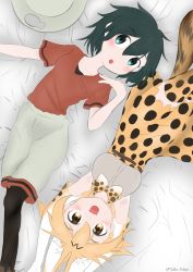 Rule 34 | 2girls, absurdres, animal ears, armpits, bed, bed sheet, black hair, black legwear, blonde hair, blue eyes, blush, bow, bowtie, cat ears, collarbone, dress, female focus, har, highres, kaban (kemono friends), kemono friends, loafers, lying, multiple girls, on back, open mouth, serval (kemono friends), serval print, serval tail, shirt, shirt tucked in, shoes, short hair, shorts, smile, tail, thighhighs, yakko picture, yellow eyes