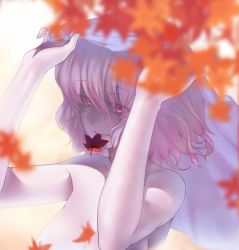 Rule 34 | 1girl, arms up, blurry, breasts, kaiza (rider000), large breasts, leaf, looking at viewer, maple leaf, mouth hold, nude, out-of-frame censoring, pink eyes, pink hair, saigyouji yuyuko, short hair, smile, solo, touhou, upper body, veil