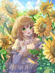 Rule 34 | 1girl, absurdres, blush, bow, brown hair, day, dress, field, flower, flower field, frilled shirt collar, frilled sleeves, frills, gingham dress, green eyes, hair bow, highres, looking at viewer, low twintails, multi-tied hair, nail polish, open mouth, original, outdoors, plaid, plaid dress, shinzousan, short sleeves, smile, solo, sunflower, sunflower field, twintails, upper body
