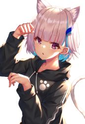 Rule 34 | 1girl, absurdres, animal ears, arm up, black hoodie, blue hair, blush, cat ears, cat girl, cat tail, commentary request, drawstring, fang, hair ornament, hand up, highres, hood, hood down, hoodie, kemonomimi mode, lize helesta, long sleeves, looking at viewer, multicolored hair, nijisanji, parted lips, paw pose, purple eyes, short hair, silver hair, simple background, solo, tail, two-tone hair, upper body, virtual youtuber, white background, yuuki nao (pixiv10696483)