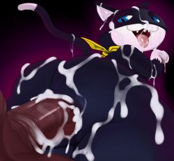 Rule 34 | anal, animal ear fluff, ass, ass focus, atlus, blue eyes, bukkake, cum, cum in ass, cum in mouth, cum on ass, cum on hand, cum on legs, cum on penis, cum on self, cum on tail, cum on tongue, cum string, cumdrip, curvy, dark-skinned male, dark skin, facial, fangs, from below, furry, furry male, gigantic penis, glowing, half-closed eyes, happy sex, huge ass, jpeg artifacts, justmegabenewell, looking back, male focus, male penetrated, mask, morgana (persona 5), neckerchief, pawpads, penis, persona, persona 5, presenting, purple background, sweat, tail raised, tongue, tongue out, yellow neckerchief