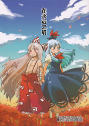 Rule 34 | 2girls, artist request, cloud, cover, cover page, female focus, flower, friends, fujiwara no mokou, holding hands, highres, kamishirasawa keine, looking away, mashuu masaki, multiple girls, petals, sky, spider lily, standing, touhou, wind