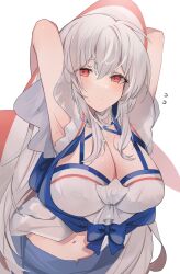 Rule 34 | 1girl, arknights, blue shorts, breasts, chunta, cleavage, closed mouth, grey hair, hair between eyes, highres, inflatable orca, inflatable toy, large breasts, long hair, midriff, navel, official alternate costume, red eyes, shirt, short shorts, shorts, simple background, skadi (arknights), skadi (waverider) (arknights), solo, stomach, thick eyelashes, very long hair, white background, white shirt