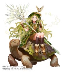 Rule 34 | 1girl, 23/7, bad id, bad pixiv id, bird, bird nest, black socks, blue eyes, boots, brown footwear, brown gloves, brown skirt, clenched hand, coat, copyright name, fingerless gloves, flower, full body, gloves, green coat, green hair, green hat, hair flower, hair ornament, hat, jewelry, kneehighs, long hair, looking at viewer, official art, sidesaddle, simple background, sitting, skirt, smile, socks, solo, tortoise, turtle, watermark, weapon, white background, yuzu shio