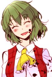 Rule 34 | 1girl, ascot, blood, blood on face, blood splatter, blood on clothes, crashtv, closed eyes, green hair, kazami yuuka, lowres, open mouth, plaid, plaid vest, short hair, smile, solo, touhou