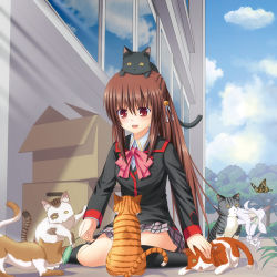 Rule 34 | 1girl, bow, box, brown hair, bug, butterfly, cat, dinyc, flower, bug, little busters!, long hair, lowres, natsume rin, pink bow, plaid, plaid skirt, ponytail, red eyes, school uniform, skirt, solo, too many, too many cats
