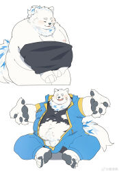 Rule 34 | 1boy, absurdres, animal ears, artist request, bandaid, bandaid on face, bara, belly, blue eyes, dog boy, dog ears, facing viewer, fat, fat man, full body, furry, furry male, highres, large hands, live a hero, male focus, pectorals, shirt, sitting, thick eyebrows, thick navel hair, torn clothes, torn shirt, undressing, white fur, yohack