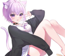 Rule 34 | 1girl, :3, :d, alternate hair length, alternate hairstyle, animal ear fluff, animal ears, bad id, bad pixiv id, bare legs, blush, cat ears, cat girl, cat tail, collar, commentary request, hololive, long sleeves, looking at viewer, neck ribbon, negima (le ne38), nekomata okayu, nekomata okayu (oversized shirt), open mouth, purple eyes, purple hair, ribbon, shirt, short hair, simple background, sleeves past fingers, sleeves past wrists, smile, solo, tail, virtual youtuber, w, white background, white shirt