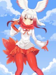 Rule 34 | 10s, 1girl, :o, bird tail, bird wings, blue sky, blunt bangs, blush, breasts, cloud, day, dot nose, feather collar, frilled sleeves, frills, gloves, gradient hair, hair intakes, head wings, highres, japanese crested ibis (kemono friends), kemono friends, long hair, long sleeves, miniskirt, mugi (user khzh5853), multicolored hair, open mouth, orange gloves, orange ribbon, orange skirt, outdoors, pantyhose, pleated skirt, red hair, red pantyhose, ribbon, shirt, skirt, sky, small breasts, solo, tail, white hair, white shirt, wide sleeves, wings, yellow eyes