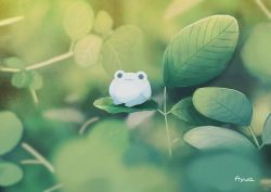 Rule 34 | :3, animal focus, ayu (mog), blurry, blurry background, depth of field, frog, green theme, looking at viewer, no humans, original, signature, smile
