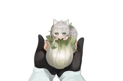Rule 34 | 2girls, ahoge, animal ear fluff, animal ears, black gloves, chibi, commentary request, dokomon, genshin impact, gloves, gradient hair, green eyes, green hair, grey hair, hands up, highres, holding, korean commentary, long sleeves, looking at viewer, lumine (genshin impact), mini person, minigirl, multicolored hair, multiple girls, nahida (genshin impact), out of frame, parted lips, partially fingerless gloves, side ponytail, sidelocks, simple background, solo focus, swaddled, v-shaped eyebrows, white background
