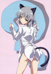 Rule 34 | 1girl, ?, absurdres, animal ears, ass, blush, cat ears, cat tail, cowboy shot, dress shirt, from behind, green eyes, grey hair, highres, long sleeves, looking at viewer, looking back, naked shirt, non-web source, nyantype, official art, parted lips, sanya v. litvyak, scan, shirt, short hair, sleeves past wrists, solo, standing, strike witches, tail, tamura masafumi, unbuttoned, white shirt, world witches series