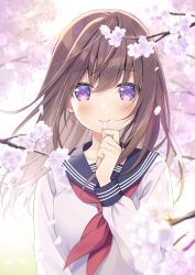 Rule 34 | 1girl, blurry, blurry background, blush, brown hair, cherry blossoms, collarbone, commentary request, floating hair, hair between eyes, hand on own chin, long hair, long sleeves, looking at viewer, neckerchief, original, petals, purple eyes, red neckerchief, sailor collar, school uniform, serafuku, sidelocks, smile, solo, sumisaki yuzuna, upper body