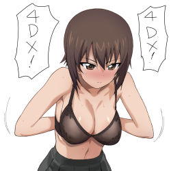 Rule 34 | 10s, 1girl, a1 (initial-g), absurdres, blush, bra, breasts, brown eyes, brown hair, dvddvd (meme), expressionless, girls und panzer, highres, large breasts, meme, neta, nishizumi maho, non-web source, skirt, solo, underwear, undressing