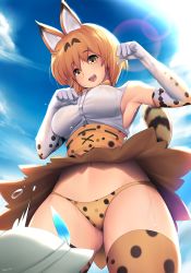 Rule 34 | 10s, 2girls, :d, ahoge, animal ears, armpits, blonde hair, blue sky, blush, breasts, cloud, cowboy shot, day, elbow gloves, gloves, gluteal fold, hat, hat feather, highres, kaban (kemono friends), kemono friends, large breasts, lens flare, multiple girls, navel, open mouth, panties, paw pose, print gloves, print legwear, print panties, print skirt, serval (kemono friends), serval print, serval tail, short hair, sideboob, skirt, sky, smile, stomach, sweat, tail, thighhighs, tony guisado, underwear, white hat, wind, wind lift, yellow eyes