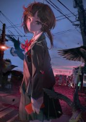 Rule 34 | 1girl, absurdres, arm at side, bird, black skirt, blue sky, brown hair, building, chromatic aberration, city, collared shirt, cowboy shot, evening, expressionless, from side, grey eyes, grey jacket, hair ornament, highres, holding, iwakura lain, jacket, kirrrara, long sleeves, looking at viewer, neck ribbon, outdoors, power lines, ribbon, road, school uniform, serial experiments lain, shirt, short hair with long locks, skirt, sky, solo, standing, street, sunset, utility pole, white shirt, x hair ornament