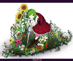 Rule 34 | 1girl, 2016, bad id, bad twitter id, boots, brown footwear, closed umbrella, cross-laced footwear, dated, flower, full body, green hair, hunched over, kazami yuuka, letterboxed, looking to the side, orange flower, overgrown, pink flower, plaid, plaid skirt, plaid vest, planted, planted umbrella, red eyes, red skirt, red vest, shishi osamu, short hair, short sleeves, skirt, solo, sunflower, touhou, umbrella, vest, white background, white flower, white umbrella, yellow flower