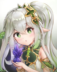 Rule 34 | 1girl, bracelet, braid, commentary request, detached sleeves, genshin impact, gradient hair, green eyes, grey hair, hair between eyes, hair ornament, head tilt, highres, holding, holding plant, jewelry, leaf hair ornament, long hair, looking at viewer, multicolored hair, nahida (genshin impact), ohbuya, parted lips, plant, pointy ears, short sleeves, side ponytail, sidelocks, simple background, single braid, solo, symbol-shaped pupils, two-tone hair
