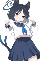 Rule 34 | 1girl, absurdres, animal ears, black eyes, black hair, blue archive, blue neckerchief, blue sailor collar, blue skirt, bob cut, cat ears, cat tail, choker, clenched hands, closed mouth, commentary, cowboy shot, from below, halo, highres, kikyou (blue archive), long sleeves, looking at viewer, midriff peek, multiple tails, navel, neckerchief, paw pose, pleated skirt, ribbon, sailor collar, school uniform, serafuku, shirt, short hair, simple background, skirt, solo, standing, tail, white background, white shirt, yukisiannn
