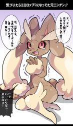 Rule 34 | 1girl, animal nose, black sclera, body fur, brown fur, colored sclera, creatures (company), fang, female focus, furry, furry female, game freak, gen 4 pokemon, gradient background, hand up, highres, imaat, japanese text, letterboxed, looking at viewer, lopunny, mars symbol, nervous, nervous smile, nintendo, open mouth, pokemon, pokemon (creature), purple background, rabbit ears, rabbit girl, rabbit tail, red eyes, simple background, sitting, smile, solo, speech bubble, tears, text focus, translation request, trembling, two-tone fur, venus symbol, wide-eyed, yellow fur, yokozuwari