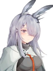 Rule 34 | 1girl, absurdres, animal ear fluff, animal ears, arknights, blush, breasts, coat, ear ornament, frostnova (arknights), frown, grey eyes, grey hair, grey shirt, hachi (hachi ik0), hair ornament, hair over one eye, hairclip, highres, looking at viewer, necktie, orange necktie, rabbit ears, scar, scar on face, scar on nose, shirt, simple background, small breasts, solo, upper body, white background, white coat