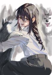 Rule 34 | 1girl, black hair, black pants, braid, braided ponytail, chainsaw man, dog, highres, husky, long hair, looking back, mole, mole under eye, multiple dogs, nayuta (chainsaw man), pants, rasima wani, ringed eyes, solo, squatting, sweater, sweater tucked in, too many, too many dogs, turtleneck, turtleneck sweater, white sweater, yellow eyes