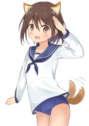 Rule 34 | 1girl, afterimage, animal ears, blue one-piece swimsuit, brown eyes, brown hair, cowboy shot, dog ears, dog tail, highres, keito4f, miyafuji yoshika, one-piece swimsuit, open mouth, sailor collar, salute, school swimsuit, school uniform, serafuku, solo, strike witches, swimsuit, swimsuit under clothes, tail, tail wagging, world witches series