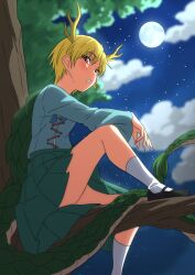 Rule 34 | 1girl, blue shirt, dragon girl, dragon horns, dragon tail, full moon, green skirt, gyouza (mhea5724), highres, horns, in tree, kicchou yachie, long sleeves, looking at viewer, moon, night, puffy long sleeves, puffy sleeves, scales, shirt, sitting, sitting in tree, skirt, sky, socks, solo, star (sky), starry sky, tail, touhou, tree, turtleneck, white socks