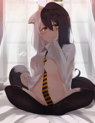 Rule 34 | 1girl, a:n (angrynum), animal ears, between breasts, black thighhighs, blush, bottomless, breasts, cat ears, clothes lift, crossed legs, curtains, groin, hair in own mouth, highres, looking to the side, multicolored hair, navel, necktie, necktie between breasts, original, see-through, seren (angry num), shirt lift, signature, sitting, solo, split-color hair, striped necktie, striped neckwear, thighhighs, yellow eyes