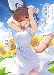 Rule 34 | 1girl, agnes tachyon (umamusume), ahoge, alternate costume, animal ears, armpits, breasts, brown hair, cloud, collared dress, cowboy shot, day, dress, flower, hat, highres, horse ears, horse girl, horse tail, komi zumiko, looking at viewer, medium breasts, medium hair, open mouth, outdoors, red eyes, sleeveless, sleeveless dress, smile, solo, speech bubble, sun hat, sunflower, sunlight, tail, translation request, twitter username, umamusume, white dress, white hat, wind