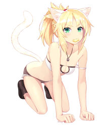 Rule 34 | 1girl, animal ears, bandeau, braid, breasts, cat ears, cat tail, cleavage, cleavage cutout, clothing cutout, fate/apocrypha, fate (series), french braid, full body, kemonomimi mode, kz ripo, mordred (fate), mordred (fate/apocrypha), mordred (memories at trifas) (fate), pet play, short shorts, shorts, simple background, solo, tail, thighs, v-shaped eyebrows, white background