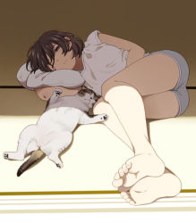 Rule 34 | 1girl, ;&lt;, animal, ass, bare legs, barefoot, blush, brown eyes, brown hair, cat, closed mouth, commentary request, feet, full body, grey shorts, half-closed eye, lying, mattaku mousuke, on side, original, pillow, shirt, short hair, short shorts, short sleeves, shorts, soles, solo, swept bangs, toes, white shirt