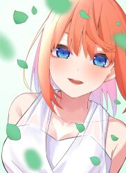 Rule 34 | 1girl, absurdres, airo, bare shoulders, blue eyes, blurry, blush, breasts, bride, cleavage, close-up, collarbone, commentary, depth of field, dress, eyebrows hidden by hair, eyelashes, falling petals, go-toubun no hanayome, green background, hair between eyes, highres, large breasts, lips, looking at viewer, medium hair, nakano yotsuba, open mouth, orange hair, petals, simple background, sleeveless, sleeveless dress, solo, straight hair, teeth, upper teeth only, white dress
