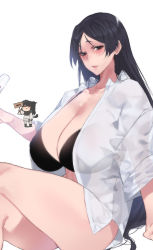 1girl black_bra black_hair blush bra breasts brown_eyes cleavage collared_shirt crossed_legs fate/grand_order fate_(series) huge_breasts long_hair mimyo minamoto_no_raikou_(fate) open_clothes open_shirt parted_bangs see-through_clothes shirt sitting smile thighs underwear very_long_hair white_shirt