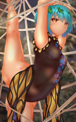 Rule 34 | 1girl, antennae, arms up, bare legs, barefoot, bdsm, black leotard, blue hair, bondage, bound, breasts, brown eyes, butterfly wings, closed mouth, eternity larva, feet out of frame, gluteal fold, hair ornament, highres, insect wings, leaf, leaf hair ornament, leaf on head, leotard, shounen (hogehoge), silk, small breasts, spider web, split, standing, standing on one leg, standing split, sweat, touhou, wings
