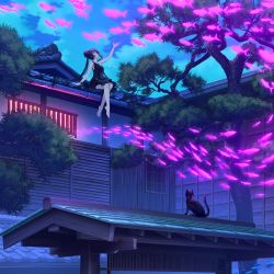 Rule 34 | 1girl, architecture, arm up, barefoot, black cat, black dress, cat, cloud, commentary, double bun, dress, east asian architecture, english commentary, fantasy, fish, flying fish, hair bun, highres, kemme dreame, long hair, night, night sky, on roof, original, outdoors, scenery, sitting, sitting on roof, sky, sleeveless, sleeveless dress, solo, tree, twintails, wide shot