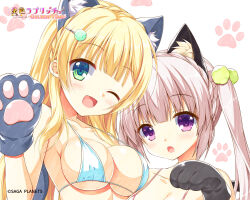 Rule 34 | 2girls, :o, ;d, animal ear fluff, animal ears, animal hands, aqua bikini, asymmetrical docking, bare shoulders, bikini, blonde hair, blunt bangs, blush, braid, breast press, breasts, caminal le pultaia sortilege sisua, cat ears, cleavage, close-up, collarbone, company name, copyright name, crown braid, eyes visible through hair, gloves, grey hair, hair ornament, hairclip, halterneck, hand up, happy, highres, hisama kumako, hug, kin-iro loveriche, large breasts, long hair, looking at viewer, moribe (rabumanyo), multiple girls, official art, one eye closed, open mouth, paw gloves, paw pose, paw print, pink bikini, pom pom (clothes), pom pom hair ornament, purple eyes, siblings, side-by-side, sidelocks, simple background, sisters, small breasts, smile, swimsuit, sylvia le cruzcrown sortilege sisua, twintails, waving, white background
