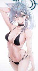Rule 34 | 1girl, animal ear fluff, animal ears, arm up, bare arms, bare shoulders, bikini, black bikini, black choker, blue archive, breasts, choker, cleavage, collarbone, gradient background, grey hair, hair between eyes, hair ornament, hairclip, highres, holding, holding own hair, kazane-wind, large breasts, looking at viewer, mouth hold, multi-strapped bikini, navel, shiroko (blue archive), shiroko terror (blue archive), solo, stomach, string bikini, swimsuit, thighs, wolf ears