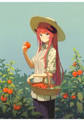Rule 34 | 1girl, absurdres, alternate costume, arknights, bagpipe (arknights), black pants, blue background, blue eyes, blue sky, blunt bangs, blush, closed mouth, collared shirt, cowboy shot, day, dhsl, dragon horns, food, fruit, highres, holding, holding food, holding fruit, horns, letterboxed, long hair, looking at viewer, orange hair, outdoors, pants, plant, shirt, short sleeves, simple background, sky, smile, solo, straight hair, striped clothes, striped shirt, tomato, vertical-striped clothes, vertical-striped shirt, very long hair, white shirt, yellow headwear