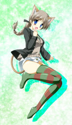 Rule 34 | 1girl, animal ears, blue eyes, braid, brown hair, brown thighhighs, cat ears, cat tail, green thighhighs, kamiya tomoe, long hair, lynette bishop, multicolored clothes, multicolored legwear, panties, single braid, solo, strike witches, striped clothes, striped thighhighs, tail, thighhighs, underwear, world witches series