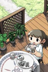 Rule 34 | 1girl, absurdres, bread, bread slice, collared shirt, cup, egg (food), food, fork, from above, grass, grey hair, highres, holding, holding food, knife, mo ma shima, mug, original, plant, ponytail, porch, potted plant, reflection, sausage, shirt, sleeves rolled up, solo, table, toast, tongue, tongue out, white shirt
