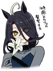 1girl ahoge alternate_hairstyle black_dress black_hair closed_mouth commentary_request dress flower flower_to_mouth hair_between_eyes hair_over_one_eye hand_up highres holding holding_flower jewelry lace-trimmed_collar lace_trim lily_(flower) long_bangs long_hair long_hair_between_eyes long_sleeves looking_at_viewer manhattan_cafe_(umamusume) mmmm_iiooo multicolored_hair necklace see-through_clothes see-through_dress simple_background smile solo translation_request umamusume w/b white_flower white_hair white_lily yellow_eyes