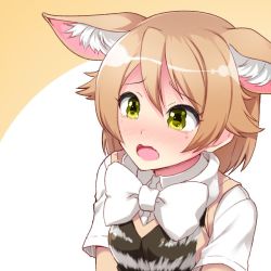 Rule 34 | 10s, 1girl, animal ear fluff, animal ears, bad id, bad twitter id, black-backed jackal (kemono friends), blonde hair, blush, bow, bowtie, collared shirt, commentary request, ears down, extra ears, jackal ears, kemono friends, nose blush, shirt, short hair, short sleeves, solo, t-shirt, tearing up, totokichi, upper body, vest, wavy mouth, yellow eyes